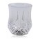 Inductive Rainbow Color Cup made of clear acrylic