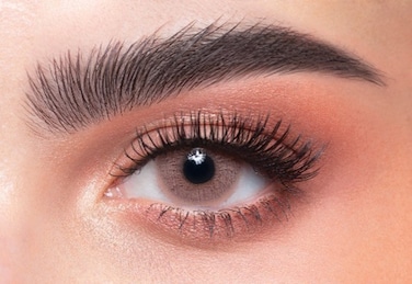 دهب ون داي ماروون عبوة من ١٠ عدسات (0.00) عدسات لاصقة للاستخدام اليومي، عدسات لاصقة ملونة، عدسات لاصقة تجميلية، عدسات لاصقة رمادية