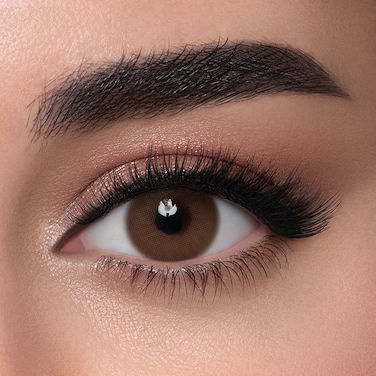 LensMe Tea 2Pack (-2.00) 6 Months Disposable Contact Lenses, Colored Contact Lenses, Cosmetic Contact Lenses, Brown Contact Lenses