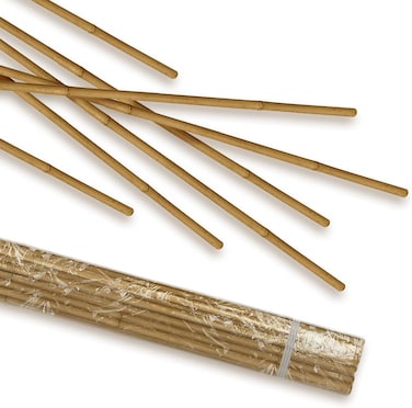 Egardenkart Bamboo Sticks for Plants - 120 Cm, 10 Pcs   Garden Sticks for Strong Support   Long Plant sticks for Plant Support Stakes (Slim, 10pcs, 120cm)