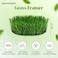 Egardenkart, Artificial Grass Carpet - Green, 36mm   Fake Grass for Balcony Decor, Turf, Yard   200x100cm (2SQM) Artificial Green Carpet for Indoor Outdoor   Balcony Grass (2x1mtr)