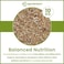 Egardenkart Wild Bird Food 10kg - Economic Bird Seed Mix for All types of Wild Birds   Bird Feed for Dove Pigeon Myna Lark Bulbul Sparrow Hoopoe   Bird Seeds Outdoor (10kgs, Small Seeds)