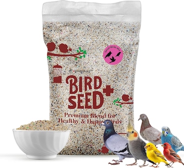 Egardenkart Small Bird Food for Budgies - 20 Kg, Bird Seed for Small Birds and Wild Birds   Bird Feed for Finches Canaries Cockatiel Hookbills doves quail and sparrows Seed mix (20kgs, Budgie)