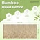 Egardenkart Bamboo Fence for Garden - 100cm x 600cm, Balcony Fence   Bamboo Privacy fence for Balcony Privacy   Reed bamboo Screen (1m x 6m)