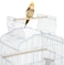 Egardenkart 41-Inch Open Top Medium Bird Cage for Parakeets, Finches, Canaries, Lovebirds, Small Quaker Parrots, Cockatiels, Budgies, and Green Cheek Conures &ndash; Perfect for Travel and Flight. (White)