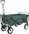Egardenkart Heavy-duty Wagon Trolley Cart - Foldable Trolley for Shopping, Camping, Beach, Picnic   Shopping Trolley with Adjustable Handle and 360&deg; Wheels   Multipurpose Camping trolley (Green)