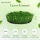 Egardenkart, Artificial Grass Carpet - Green, 26mm   Fake Grass for Balcony Decor, Turf, Yard   200x150cm (3SQM) Artificial Green Carpet for Indoor Outdoor   Balcony Grass (2x1.5mtr)