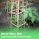 Egardenkart Bamboo Sticks for Plants - 120 Cm, 5 Pcs   Garden Sticks for Strong Support   Long Plant sticks for Plant Support Stakes (Slim, 5pcs, 120cm)
