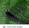 Egardenkart Artificial Grass Turf - 10mm (200cm x 150cm)