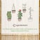 Egardenkart Bamboo Sticks for Plants - 90 Cm, 5 Pcs   Garden Sticks for Strong Support   Long Plant sticks for Plant Support Stakes (Slim, 5pcs, 90cm)