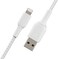 Belkin braided lightning cable (boost charge lightning to usb cable for iphone, ipad, airpods) mfi-certified iphone charging cable, braided lightning cable (2M, White)