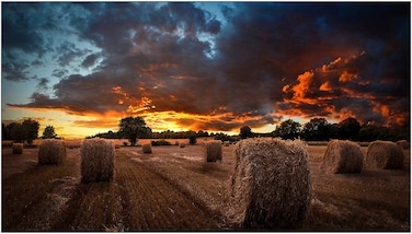 Samsung 46-Inch VMB Series Professional Commercial Display &ndash; 1080p Full HD Signage Screen LH46VMBUBGBXUE