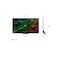 LG 75 inch QNED AI QNED82 4K Smart TV AI Magic remote HDR10 webOS25 2025 60HZ