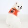 PUPPIA VIVIEN HARNESS B PURPLE L Neck 11.41" Chest 16.92