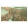 The Legend Of Zelda Breath Of The Wild Nintendo Switch Video Game (Nintendo Switch)