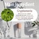 Cryptherapy Recovery Essence - Korean Skin Care, Soothing and Revitalising, Moistruising, Intense Hydration, Vegan &amp; Cruelty Free