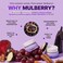 Mulberry 5D Pore Lifting Cream - Anti Aging Korean Skincare, Wrinkle Improvement, Nourishing and Revitalising, Vegan &amp; Cruelty Free