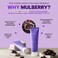 Mulberry 5D Pore Tightening Clay Mask to Foam - Korean Skincare, Cleansing, Blackhead Removal, Vegan &amp; Cruelty Free