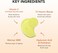 [SKIN&amp;LAB] Vitamin C Serum for Face with Hyaluronic Acid and Niacinamide   Even Skin Tone Serum (1.01 fl oz)