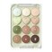 COLORGRAM 06 BUTTERCUP+BROWN  PIN POINT EYESHADOW PALETTE 9.2G