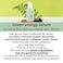 Numbuzin No.7 Mild Green Soothing Serum, Acne-Prone Skin, Sensitive Redness, Centella Asiatica, Green Tea, Lightweight Gel, Noni, Korean Skin Care For Face, 50ml