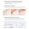 Etude 40ml (Regular Size) : House Soonjung 5-Panthensoside Cica Balm (40ml-Regular Size)