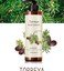 MEDIFLOWER TORREYA BODY CLEANSER 500ML
