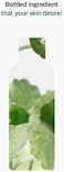 Mixsoon Centella Asiatica Toner 5.07 Fl Oz / 150ml, Moisturizing Facial Toner, Cruetly-Free