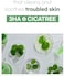 [Mixsoon] Cicatree Clean Toner 5.07 fl oz/150ml   Daily Toner for Troubled Skin, Fast Absorption, Zero Irritation   Cruelty-Free