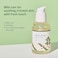 ROUND LAB Mugwort Calming Serum 50ml / Soothing, Refreshing, Mugwort Extract Serum