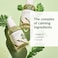 ROUND LAB Mugwort Calming Serum 50ml / Soothing, Refreshing, Mugwort Extract Serum