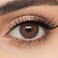 LensMe Tan 2Pack (0.00) 6 Months Disposable, Colored Contact Lenses, Cosmetic Contact Lenses, Brown Contact Lenses