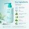 Lilyeve Scalp:Turn Cica PDRN Deep Clean Shampoo 500g