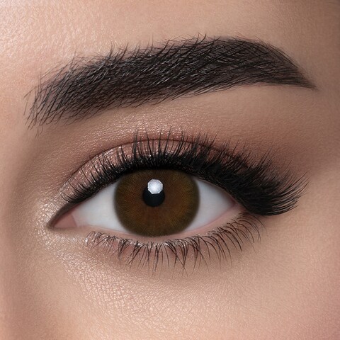 LensMe La Bella, 6 Months Disposable Contact Lenses, Colored Contact Lenses, Cosmetic Contact Lenses, Brown Contact Lenses, Size 0.00