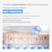 Hyaluronic Waterful Capsule Serum 50ml  8-Type HA Plumping Serum  Cellumaru