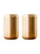 2 pcs Tea Canister, Travel Portable Sugar Tea Storage Jar, Food Storage Container, Airtight Empty Tins Kitchen Condiment Container,for Kitchen Sugar Coffee
