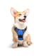 Eagloo Dog Harness No Pull, Walking Pet Harness with 2 Metal Rings and Handle Adjustable Reflective Breathable Oxford Soft Vest Easy Control Front Clip Harness for Small Medium Large Dogs(M,BLUE)