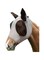 Horse Fly Mask with Ear Protection, UV Protection Face Cover