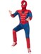 Rubies Costumes Marvel Spider-Man Deluxe Child Costume, Large 7-8 Years