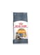 Royal Canin Hair &amp; Skin Adult Dry Cat Food 10Kg