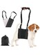 Support Belt for Pet Hind Legs, Dog Sling for Back Legs Adjustable Shoulder Straps Helps Older Dogs with Mobility, Dog Support Sling Helps Lift the Dog's Back, Removable Fleece for Medium Large Dogs