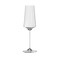 OCEAN Allure Sparkling Wine Glass - 220ml (Set of 6) - Elegant Stemware for Champagne, Prosecco, Cava &amp; Sparkling Cocktails, 032F08