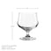 OCEAN The Palette Chalice Glass - 300ml (Set of 6) - Elegant Stemware for Wine, Water, Juice, Beverages, 533E11