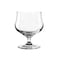OCEAN The Palette Chalice Glass - 300ml (Set of 6) - Elegant Stemware for Wine, Water, Juice, Beverages, 533E11