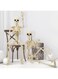 Tiokkss 2 Packs 16" Posable Halloween Skeleton, Full Body Tiny Skeletons for Halloween Decorations, Graveyard Decor, House Haunted