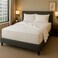 Home Mart Outlet Ortho Plus Premium Medical Mattress 25 cm for Back Support with Enhanced Spinal Alignment and a 2-Year Warranty for Long-Lasting Comfort Queen - L190 x W160 cm