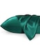 Luxurious Mulberry Silk Pillowcases,20 Momme Satin Weave, Hypoallergenic Solid Color Envelope Closure, Machine Washable, Designed for Hair and Skin,20-25gsm