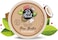 Pet Head On All Paws Coconut Paw Butter 40 g