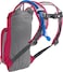 CAMELBAK - MINI M.U.L.E - 50 OZ HOT PINK/PURPLE STRIPE