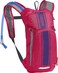 CAMELBAK - MINI M.U.L.E - 50 OZ HOT PINK/PURPLE STRIPE